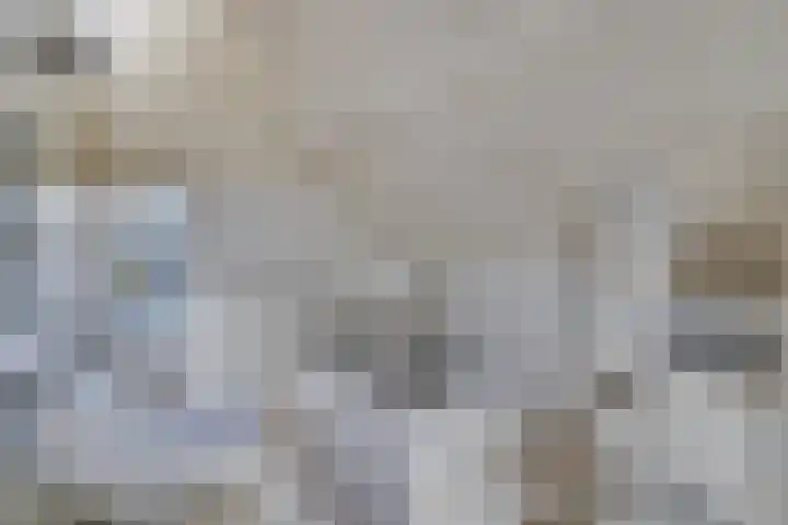 Prof. Ter Veenweg 8 Middenmeer thumbnail 25