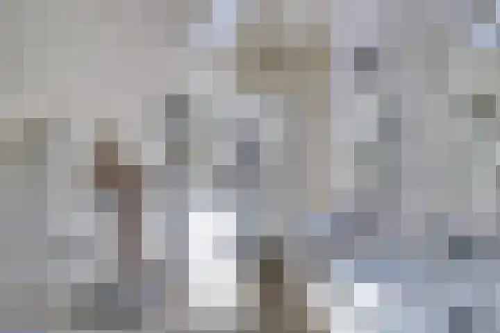 Prof. Ter Veenweg 8 Middenmeer thumbnail 26