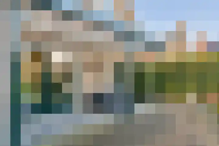 Prof. Ter Veenweg 8 Middenmeer thumbnail 29