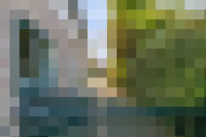 Prof. Ter Veenweg 8 Middenmeer thumbnail 32