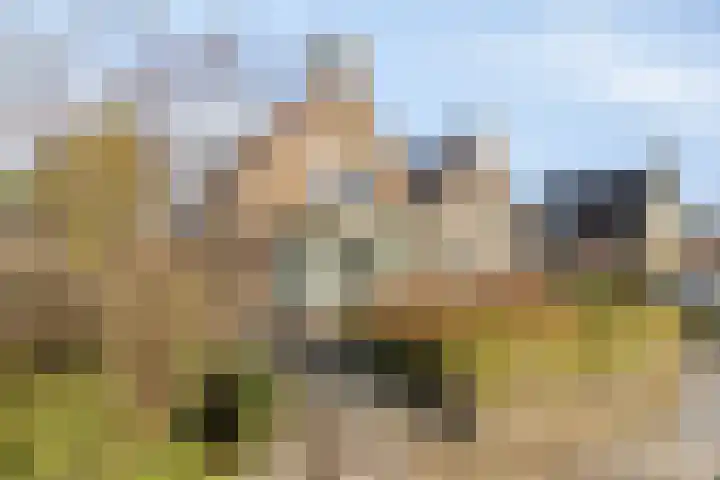 Prof. Ter Veenweg 8 Middenmeer thumbnail 33