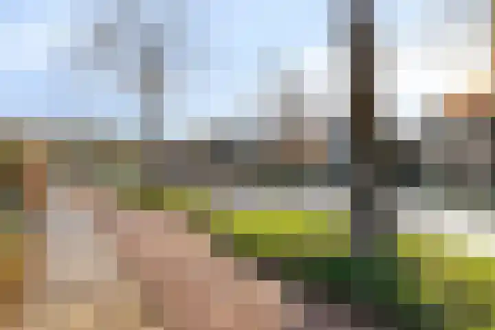 Prof. Ter Veenweg 8 Middenmeer thumbnail 35