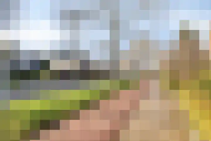 Prof. Ter Veenweg 8 Middenmeer thumbnail 36