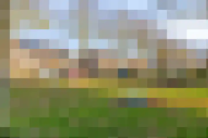 Prof. Ter Veenweg 8 Middenmeer thumbnail 38