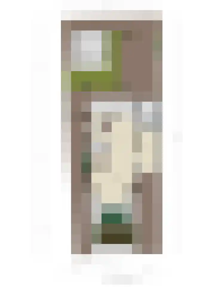 Prof. Ter Veenweg 8 Middenmeer thumbnail 39