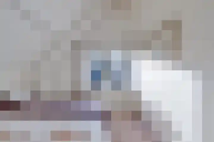 Prof. Ter Veenweg 8 Middenmeer thumbnail 4