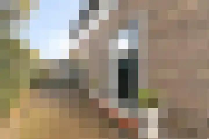 Prof. Ter Veenweg 8 Middenmeer thumbnail 7