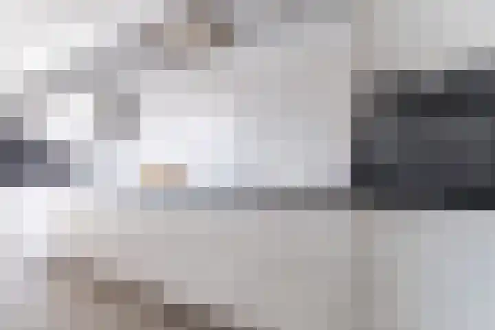 Prof. Titus Brandsmastraat 34 Best thumbnail 17