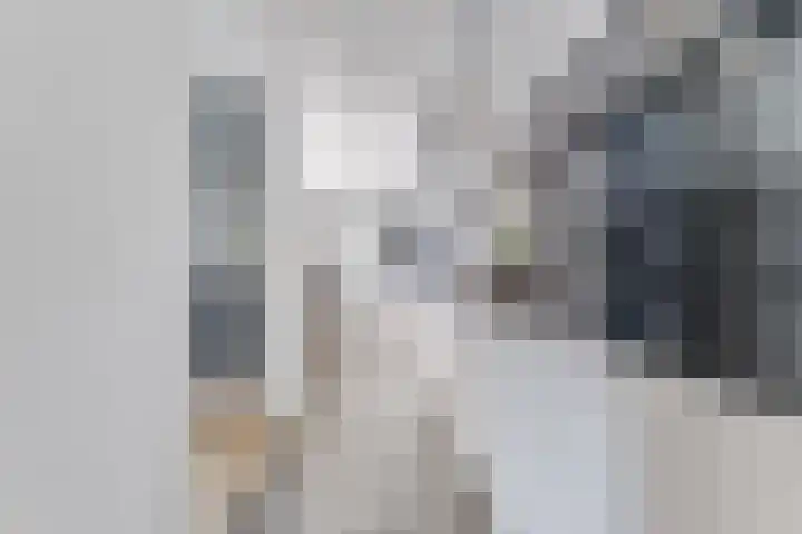 Prof. Titus Brandsmastraat 34 Best thumbnail 18