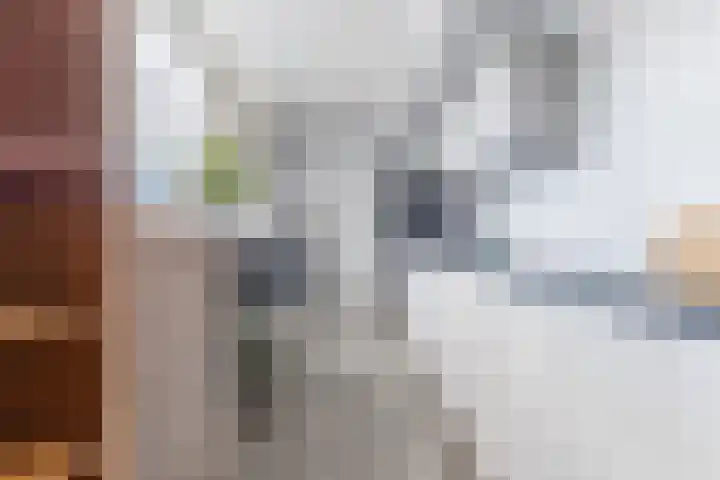 Prof. Titus Brandsmastraat 34 Best thumbnail 19
