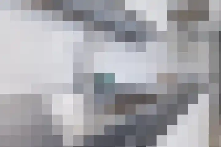 Prof. Titus Brandsmastraat 34 Best thumbnail 21