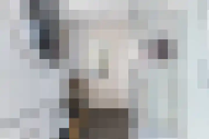 Prof. Titus Brandsmastraat 34 Best thumbnail 23
