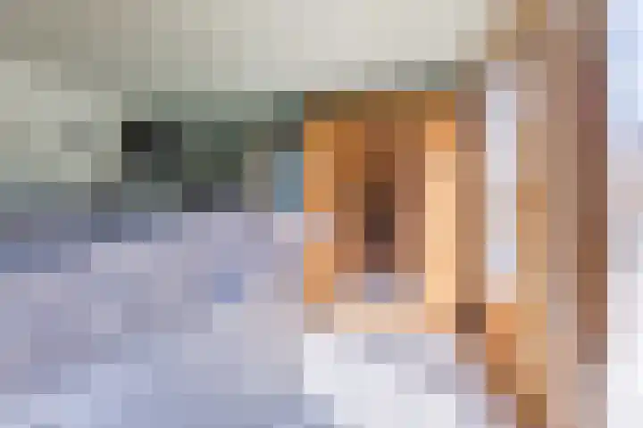 Prof. Titus Brandsmastraat 34 Best thumbnail 26
