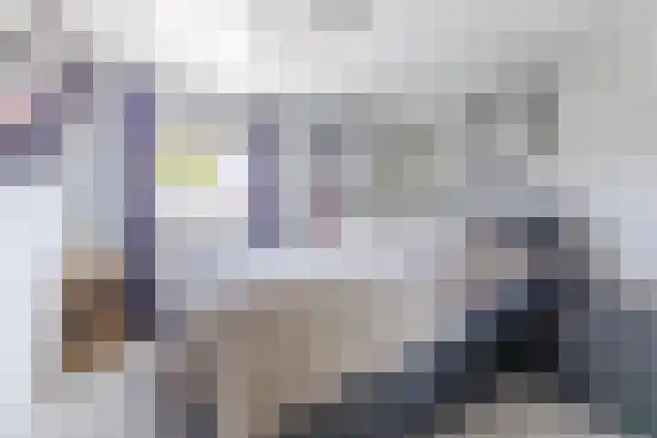 Prof. Titus Brandsmastraat 34 Best thumbnail 29