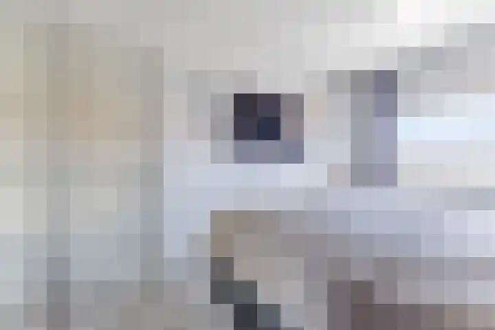 Prof. Titus Brandsmastraat 34 Best thumbnail 30
