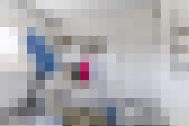 Prof. Titus Brandsmastraat 34 Best thumbnail 32