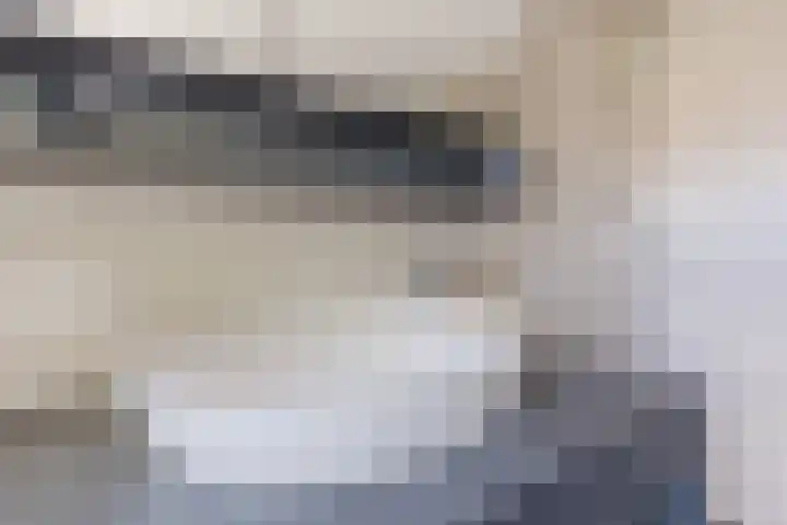 Prof. Titus Brandsmastraat 34 Best thumbnail 37