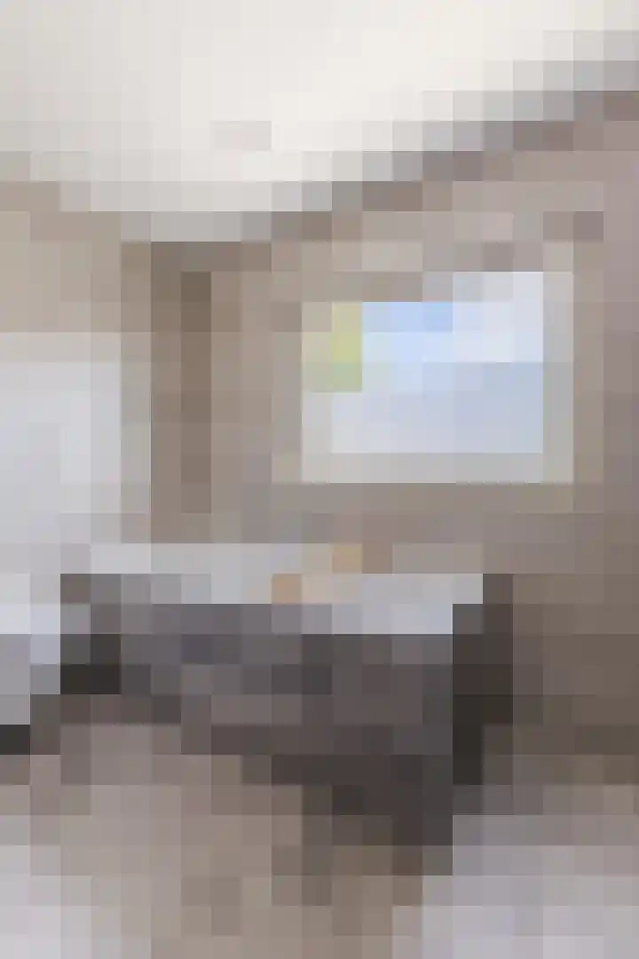 Prof. Titus Brandsmastraat 34 Best thumbnail 40