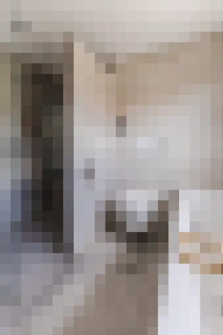 Prof. Titus Brandsmastraat 34 Best thumbnail 43
