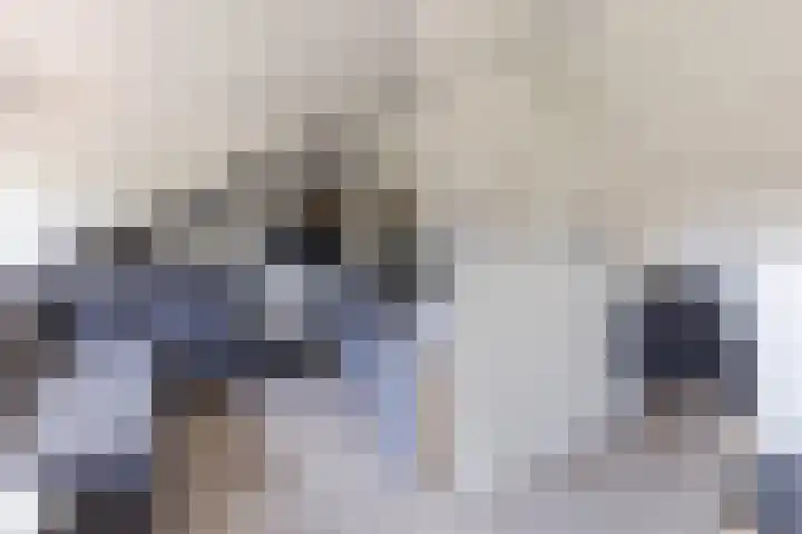 Prof. Titus Brandsmastraat 34 Best thumbnail 45