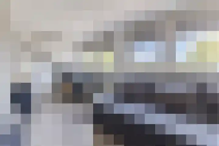 Prof. Titus Brandsmastraat 34 Best thumbnail 47