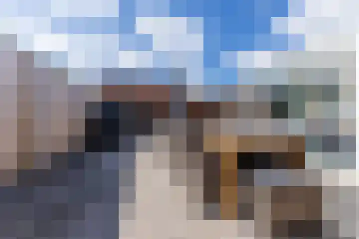 Prof. Titus Brandsmastraat 34 Best thumbnail 53
