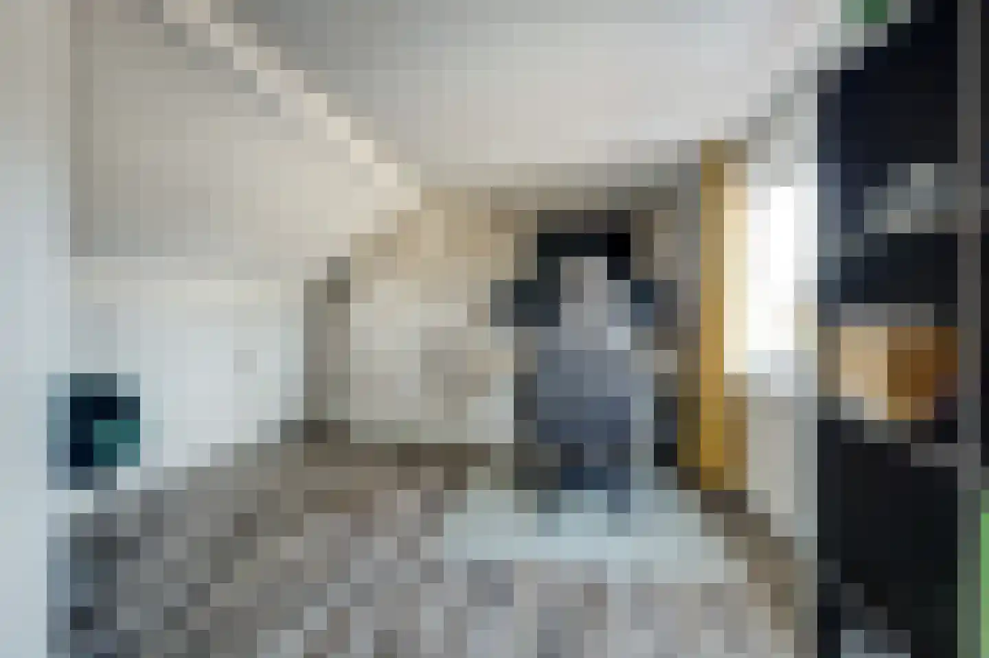 Prof. Titus Brandsmastraat 70 Best thumbnail 33