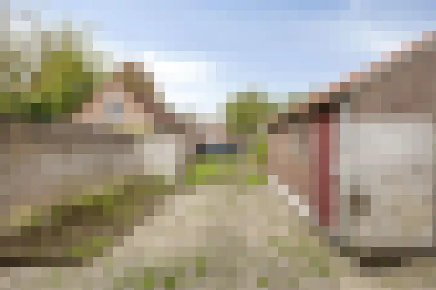 Prof. Titus Brandsmastraat 98 Best thumbnail 27