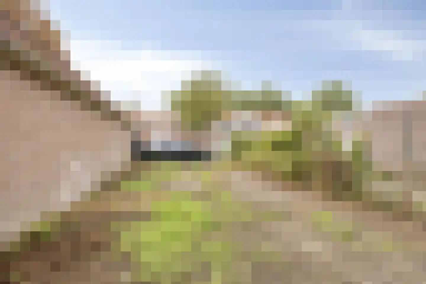 Prof. Titus Brandsmastraat 98 Best thumbnail 29