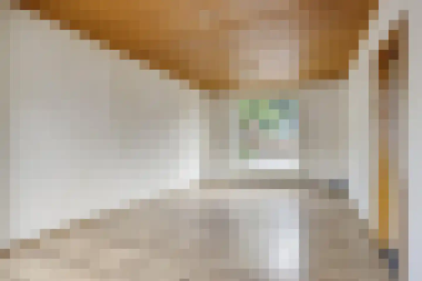 Prof. Titus Brandsmastraat 98 Best thumbnail 6
