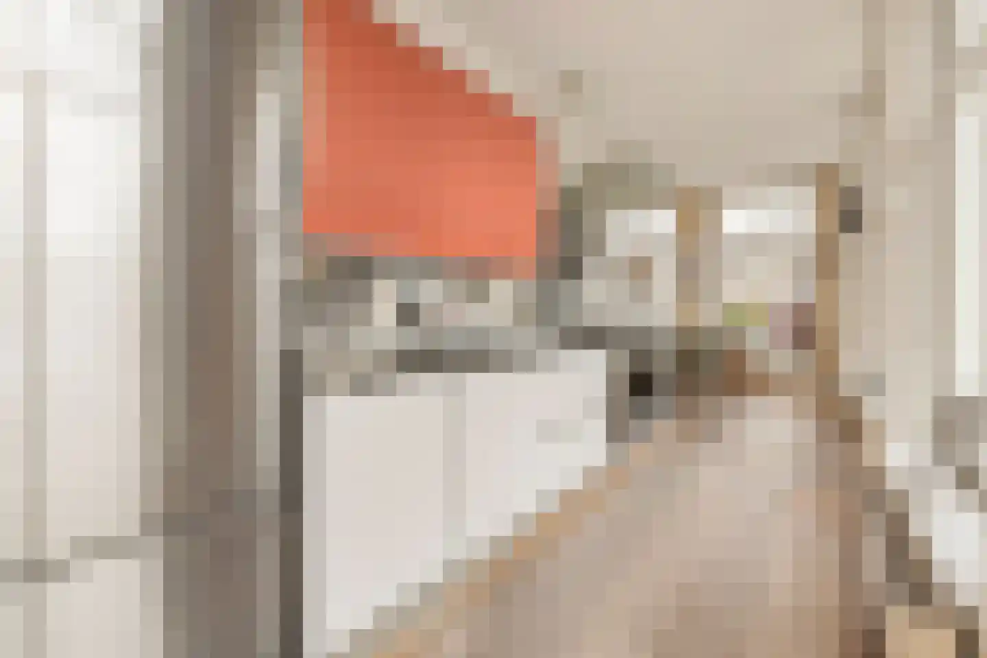 Prof. Tulpstraat 42 Amsterdam thumbnail 12