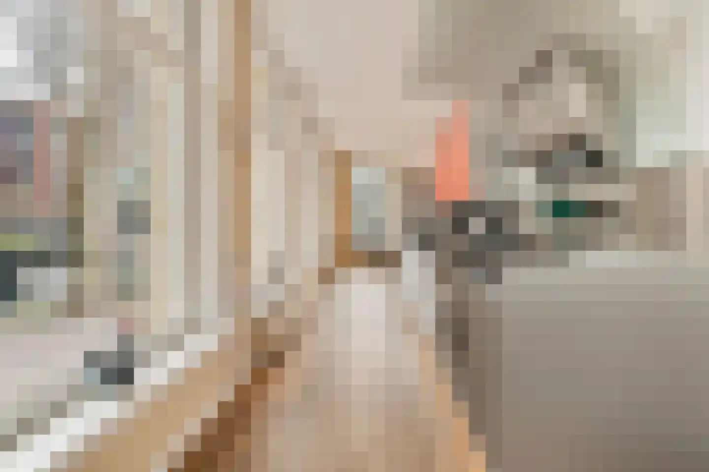 Prof. Tulpstraat 42 Amsterdam thumbnail 13