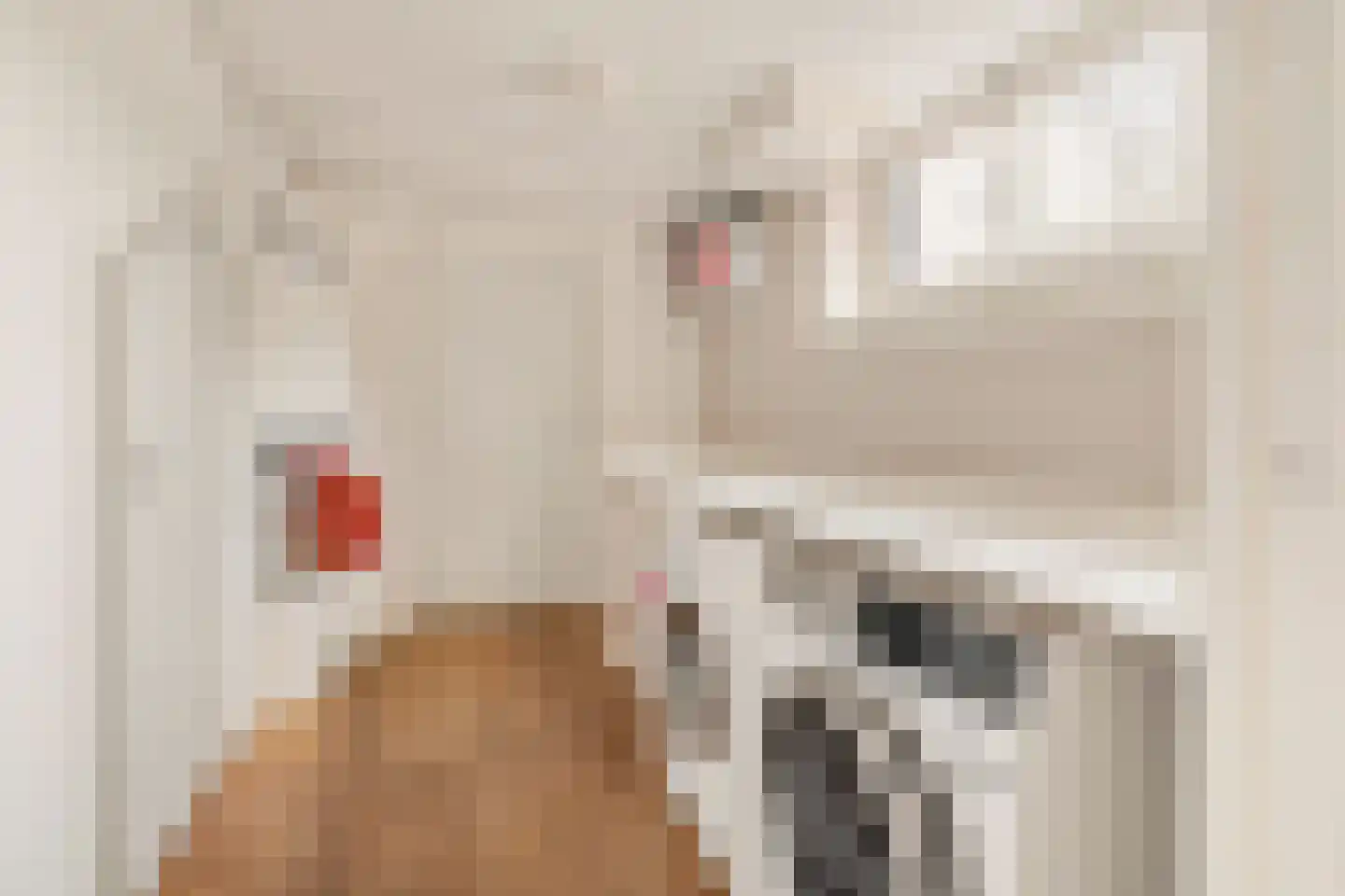 Prof. Tulpstraat 42 Amsterdam thumbnail 26