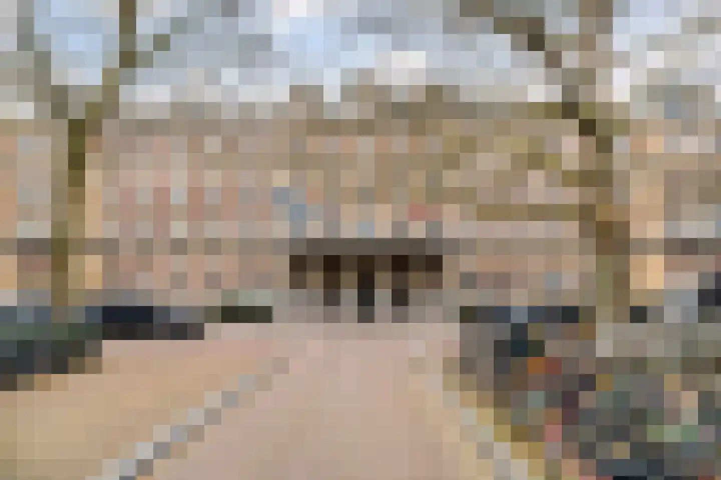 Prof. Tulpstraat 42 Amsterdam thumbnail 32