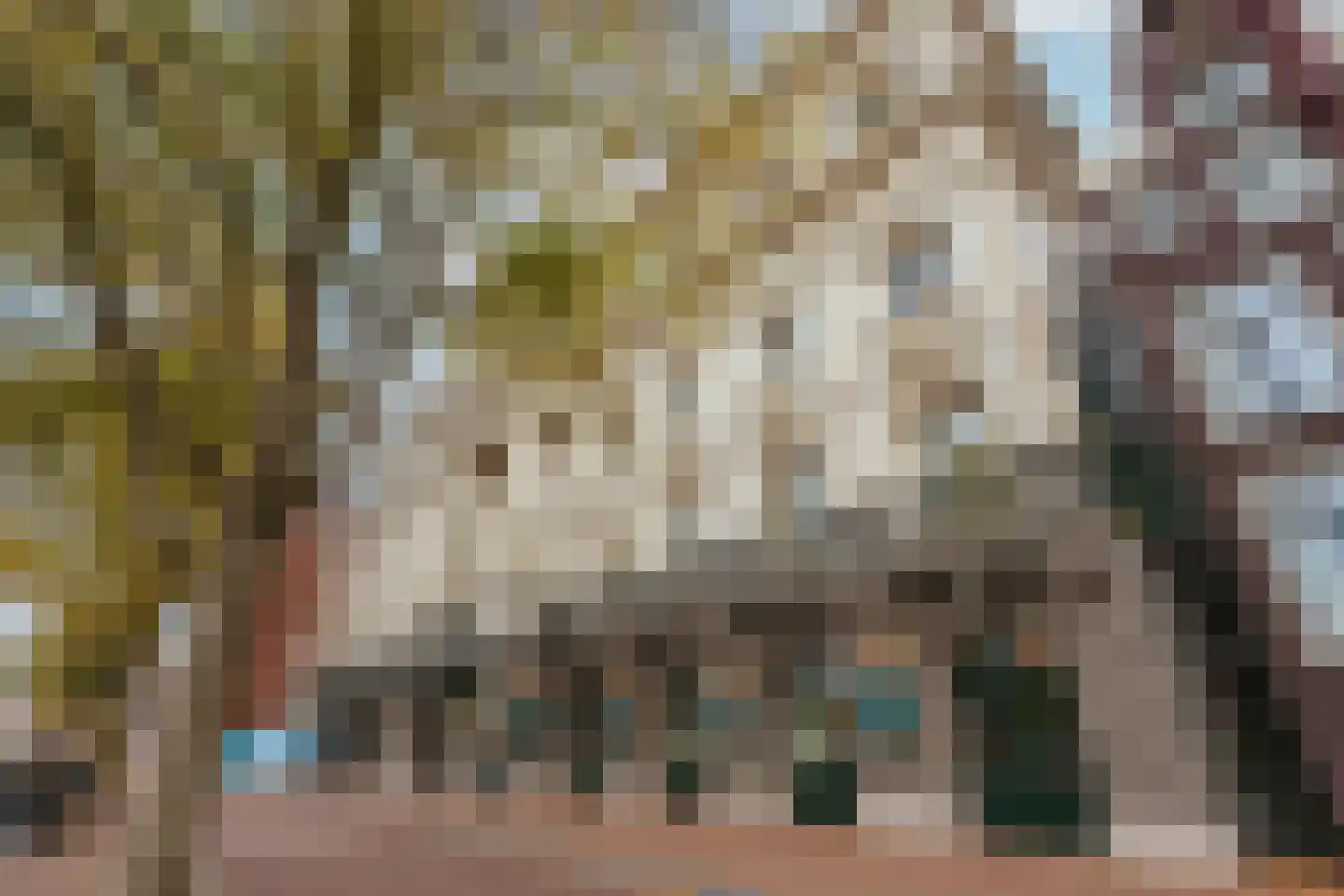 Prof. Tulpstraat 42 Amsterdam thumbnail 35