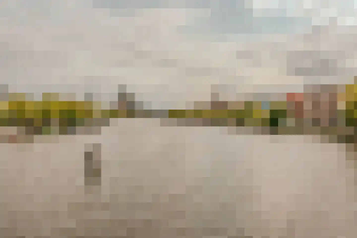 Prof. Tulpstraat 42 Amsterdam thumbnail 39