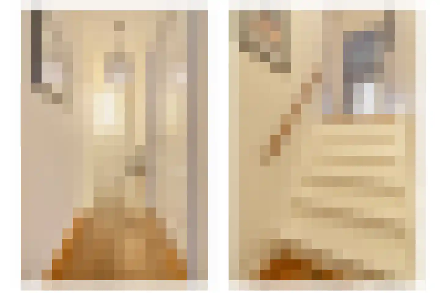 Prof. Tulpstraat 42 Amsterdam thumbnail 5