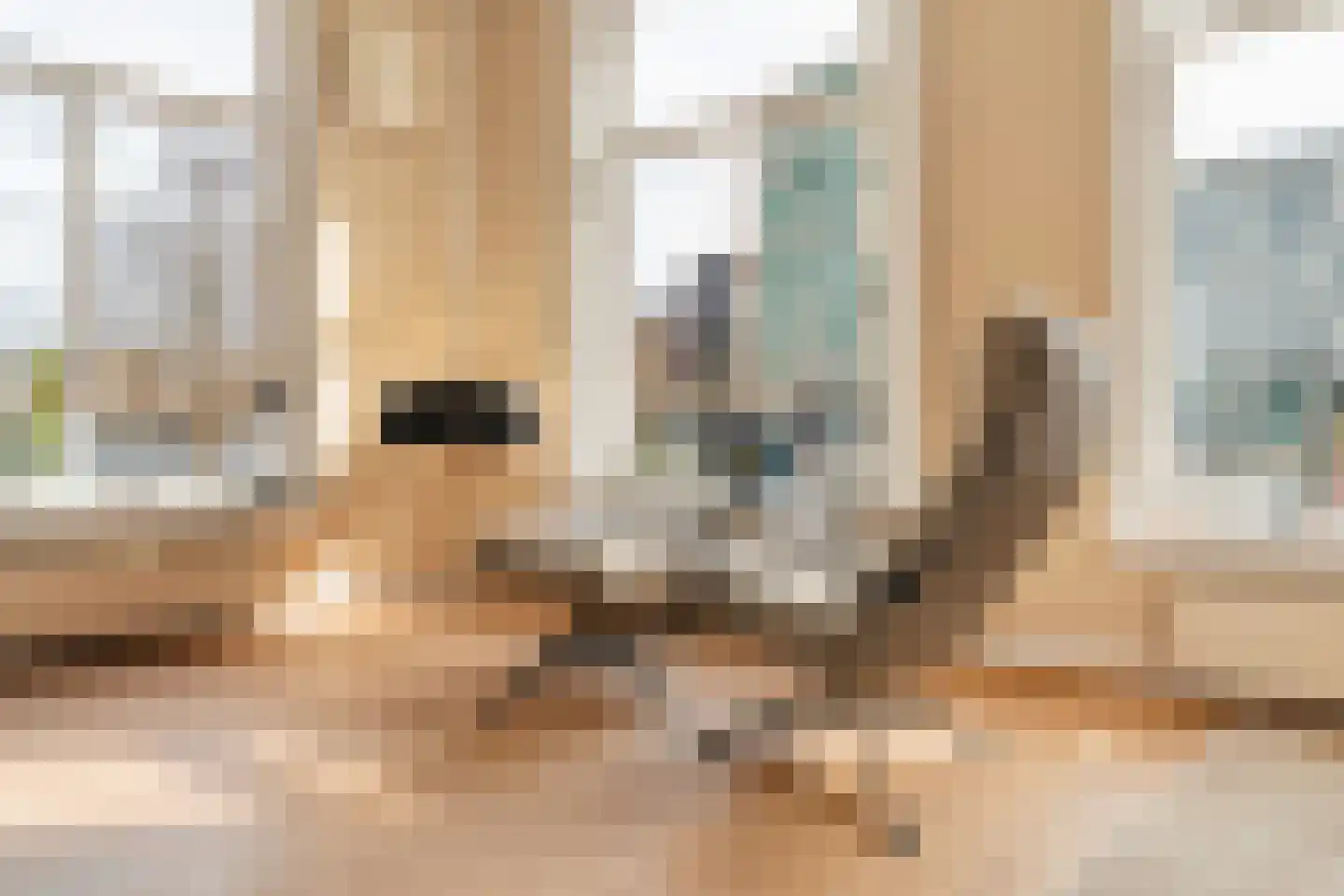 Prof. Tulpstraat 42 Amsterdam thumbnail 8