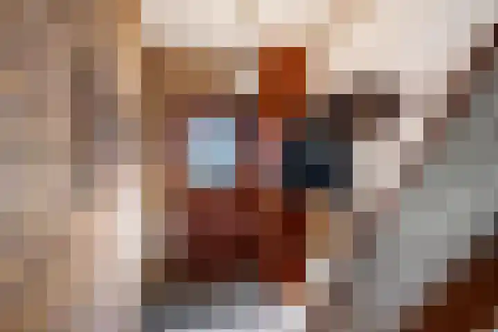 Prof. van Arkelstraat 21 's-Gravenzande thumbnail 14