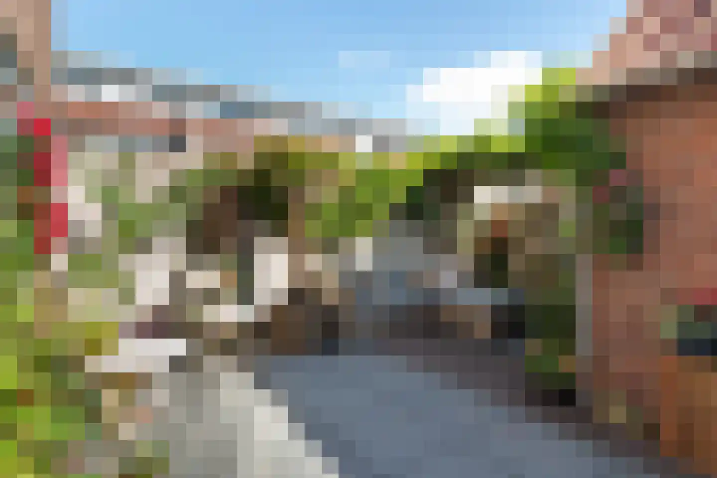 Prof. van Arkelstraat 29 's-Gravenzande thumbnail 12