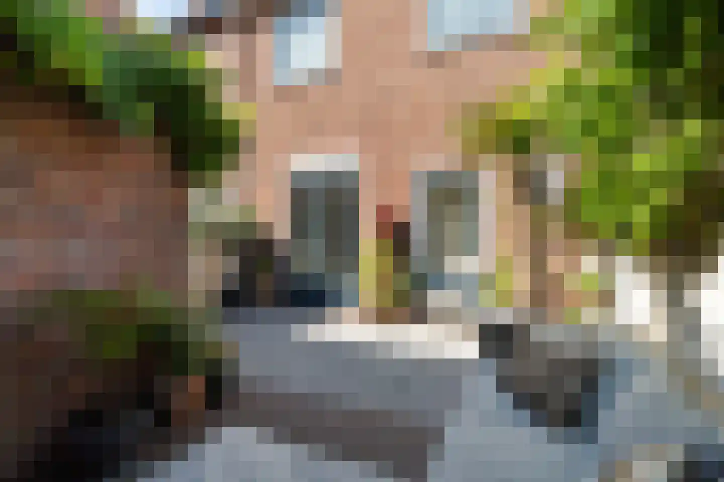 Prof. van Arkelstraat 29 's-Gravenzande thumbnail 16