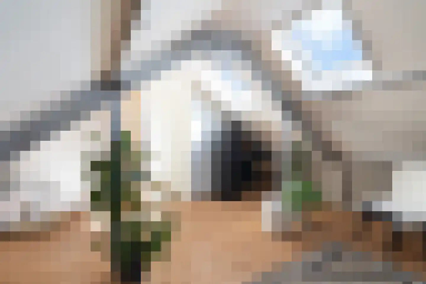 Prof. van Arkelstraat 29 's-Gravenzande thumbnail 29