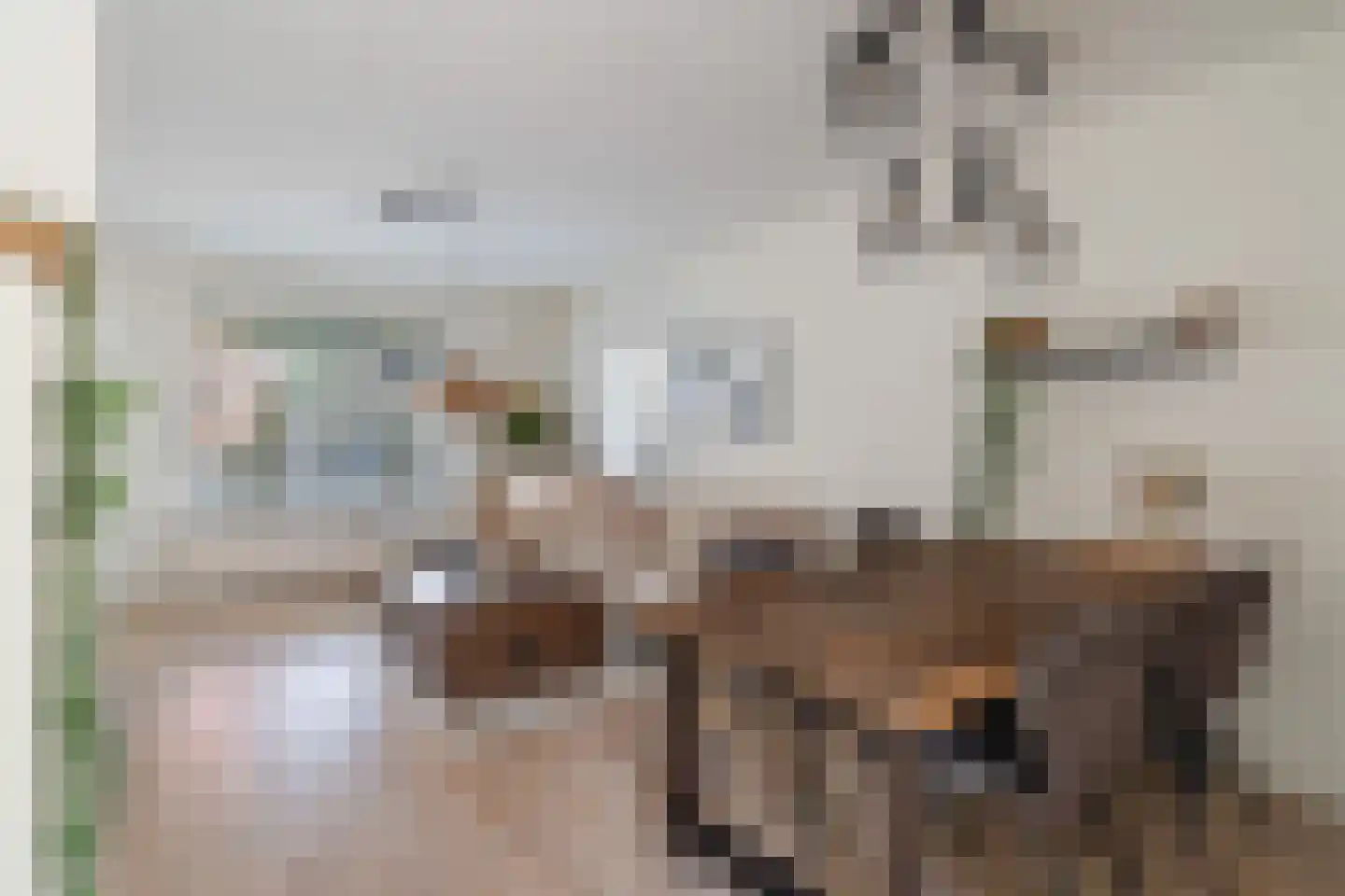 Prof. van Arkelstraat 29 's-Gravenzande thumbnail 6