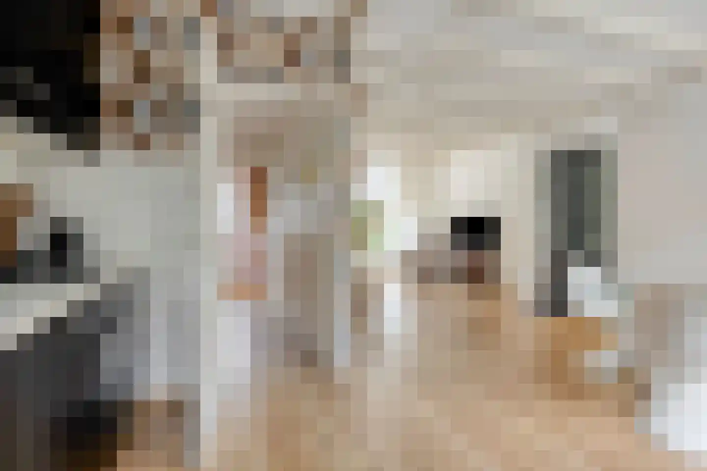 Prof. van Arkelstraat 32 's-Gravenzande thumbnail 16