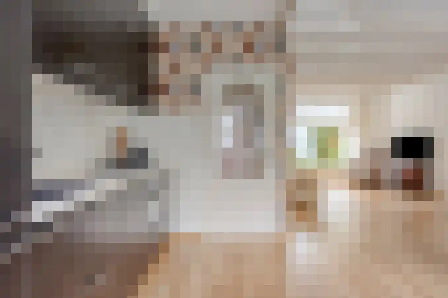 Prof. van Arkelstraat 32 's-Gravenzande thumbnail 24
