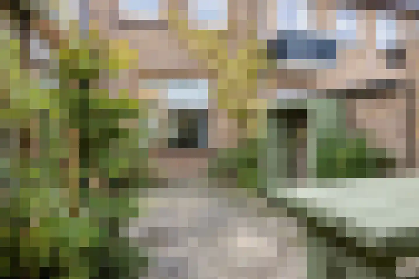 Prof. van Arkelstraat 32 's-Gravenzande thumbnail 51