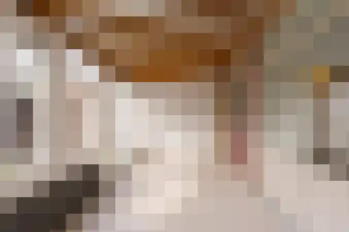 Prof.Van der Leeuwstraat 7 's-Heerenberg thumbnail 17
