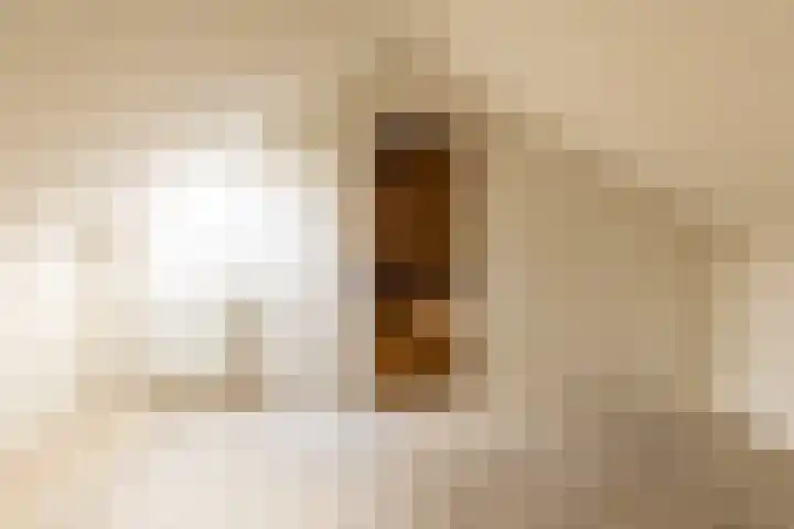 Prof.Van der Leeuwstraat 7 's-Heerenberg thumbnail 31