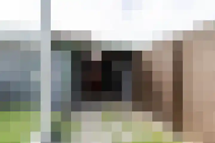 Prof.Van der Leeuwstraat 7 's-Heerenberg thumbnail 32