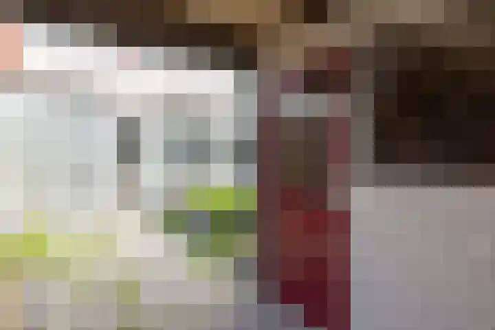 Prof.Van der Leeuwstraat 7 's-Heerenberg thumbnail 34